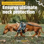 Personalized Reflective No-Pull Dog Harness - Orange