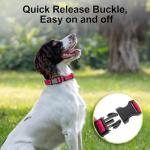 Personalized Reflective Dog Collar with ID Tag