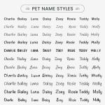 Personalized Engraved Dog Tags with Icons