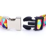 Purple Skull Collar and Leash Set for Pets