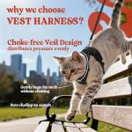 Rabbitgoo Adjustable Escape-Proof Cat Harness and Leash