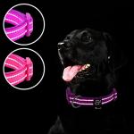 2 Pack Reflective Neoprene Dog Collars for Small Dogs