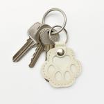 Pet Hair Keychain Set - Dog & Cat Paw