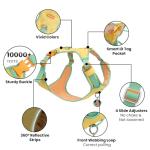 Lightweight Adjustable No-Pull Dog Harness for Small Dogs