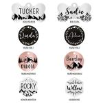 Personalized Stainless Steel Pet ID Tag with Engraving