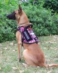 Tactical Reflective Dog Harness with ID Card for Support