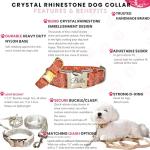 Personalized Orange Rhinestone Dog Collar and Leash