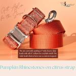 Personalized Orange Rhinestone Dog Collar and Leash