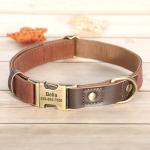 Personalized Soft PU Leather Dog Collar, Medium