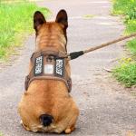 Beebiepet Tactical Dog Harness with ID Tag and Leash