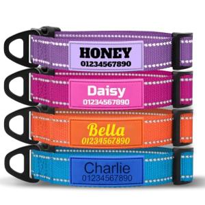 Personalized Reflective Dog Collar with ID Tag