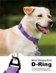 Personalized Reflective Dog Collar with ID Tag