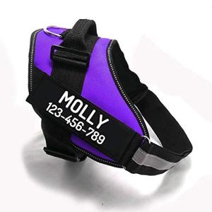 Personalized No Pull Dog Harness with Name
