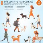 SparklyPets Hands-Free Leash with Bungee Comfort