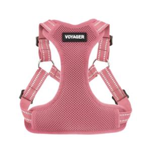 Best Pet Supplies Voyager Adjustable Step-In Flex Breathable Mesh Dog Harness for Small Medium Large Dogs (Pink), M