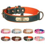 Custom Engraved Dog Collar with Nameplate, Green