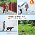 SparklyPets Hands-Free Leash with Bungee Comfort