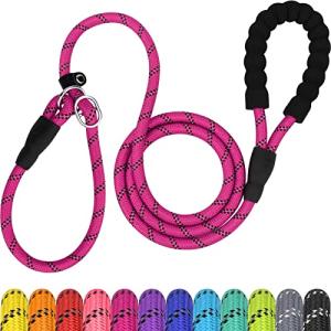 TagME 6 FT Heavy Duty Slip Lead for Dogs