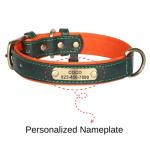 Custom Engraved Dog Collar with Nameplate, Green