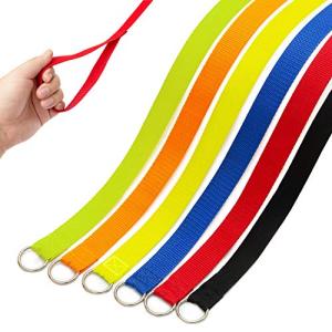 6-Pack Slip Leads for Dogs and Cats