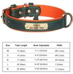 Custom Engraved Dog Collar with Nameplate, Green