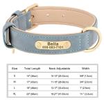 Personalized Engraved Dog Collar with Name Tag