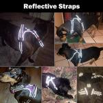 Reflective No Pull Dog Harness with ID Pocket