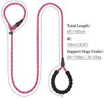 TagME 6 FT Heavy Duty Slip Lead for Dogs
