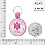 Custom QR Code Pet ID Tag for Dogs and Cats