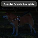 Custom No-Pull Dog Harness with Name and Phone Number