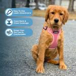 Best Pet Supplies Voyager Adjustable Step-In Flex Breathable Mesh Dog Harness for Small Medium Large Dogs (Pink), M