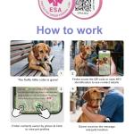 Custom QR Code Pet ID Tag for Dogs and Cats