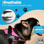 Custom No Pull Dog Harness with Name Patches