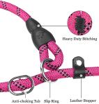 TagME 6 FT Heavy Duty Slip Lead for Dogs