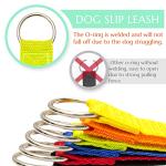 6-Pack Slip Leads for Dogs and Cats
