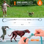 SparklyPets Hands-Free Leash with Bungee Comfort