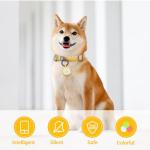 Glow in the Dark QR Code Pet ID Tag