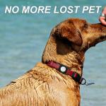 Waterproof Dog Collar Holder for Apple AirTag