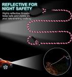 TagME 6 FT Heavy Duty Slip Lead for Dogs