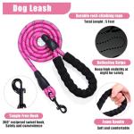 Adjustable No Pull Dog Harness and Leash Set