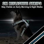 BARKBAY No Pull Dog Harness Large Reflective Dog Harness with Front Clip and Easy Control Handle for Walking Training Running with ID tag Pocket(Blue/Black,L)