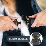NexaPaw Biothane Dog Collar with Cobra Buckle - Made in USA - QR Code Dog Tag ID Included - Adjustable Heavy Duty Dog Collars for Medium Large Dogs - Waterproof Military Grade Tactical Collar for Dogs