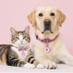 Custom QR Code Pet ID Tag for Dogs and Cats