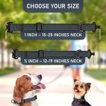 NexaPaw Biothane Dog Collar with Cobra Buckle - Made in USA - QR Code Dog Tag ID Included - Adjustable Heavy Duty Dog Collars for Medium Large Dogs - Waterproof Military Grade Tactical Collar for Dogs