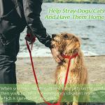 6-Pack Slip Leads for Dogs and Cats