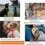 6-Pack Slip Leads for Dogs and Cats