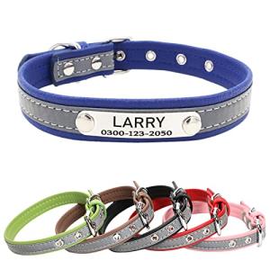 Personalized Reflective Pet Collar with Engraved ID Tag