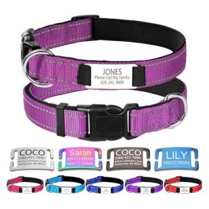 Custom Engraved Reflective Nylon Dog Collar, Purple