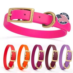 Heavy Duty Waterproof Dog Collar in Passionfruit Pink