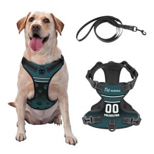 Personalized Reflective Dog Harness with Traction Rope